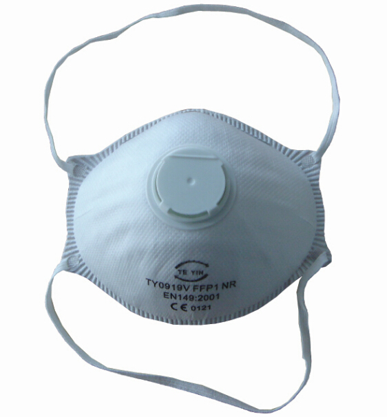 Dust mask