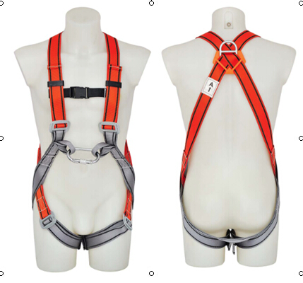 Safety harness